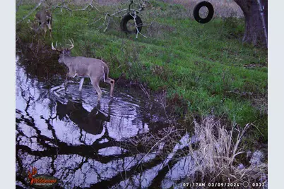 1203 County Road 4132, Cumby, TX 75433 - Photo 34