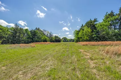 1203 County Road 4132, Cumby, TX 75433 - Photo 6