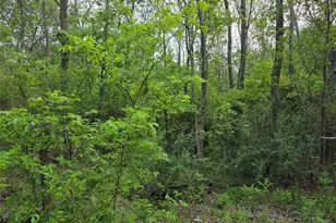 1202 Rosemary St, Greenville, TX 75401 - Photo 1