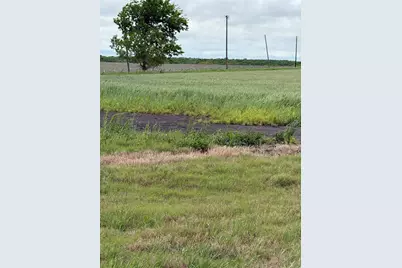 0000 Fm 1533, Pecan Gap, TX 75432 - Photo 6