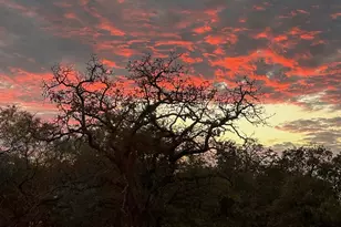 185 Rising Oak Trl, Rising Star, TX 76471 - Photo 34