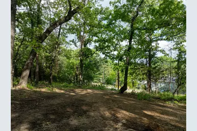 175 North Lake Drive, Murchison, TX 75778 - Photo 4