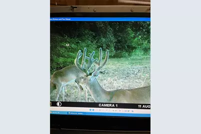 Tbd County Road 1165, Brashear, TX 75420 - Photo 36