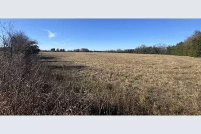 Tbd Tract 12 Fm 2675, Roxton, TX 75477 - Photo 6