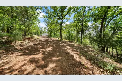 Tbd County Road 4915, Ben Wheeler, TX 75754 - Photo 10