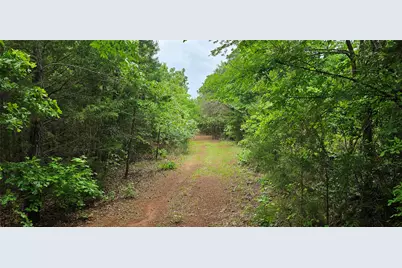Tbd Vz County Road 4814, Ben Wheeler, TX 75754 - Photo 2