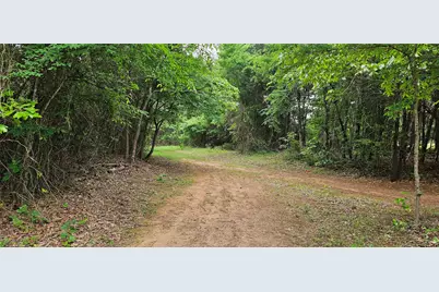 Tbd Vz County Road 4814, Ben Wheeler, TX 75754 - Photo 1