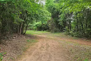 Tbd Vz County Road 4814, Ben Wheeler, TX 75754 - Photo 1