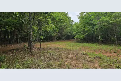 Tbd Vz County Road 4814, Ben Wheeler, TX 75754 - Photo 8