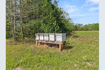 1333 Lupine Road, Gilmer, TX 75644 - Photo 20