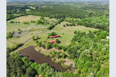1333 Lupine Road, Gilmer, TX 75644 - Photo 10