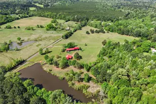 1333 Lupine Rd, Gilmer, TX 75644 - Photo 10