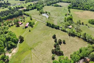 1333 Lupine Rd, Gilmer, TX 75644 - Photo 12