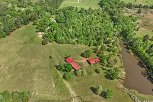 1333 Lupine Rd, Gilmer, TX 75644 - Photo 8