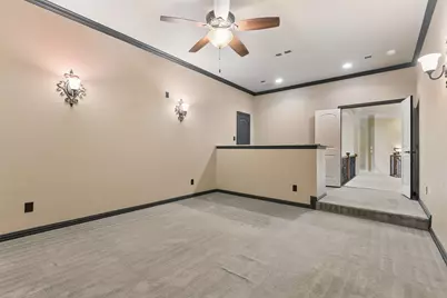 3920 Briar Tree Lane, Frisco, TX 75034 - Photo 24