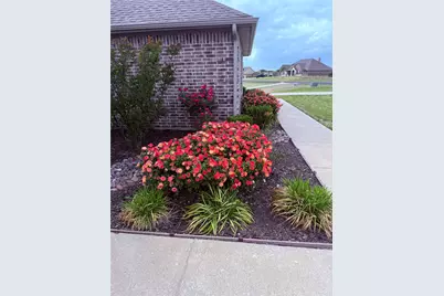 790 Colina Parkway, Farmersville, TX 75442 - Photo 30