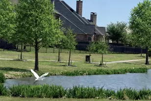 1306 Cypress Creek Way, Celina, TX 75009 - Photo 32
