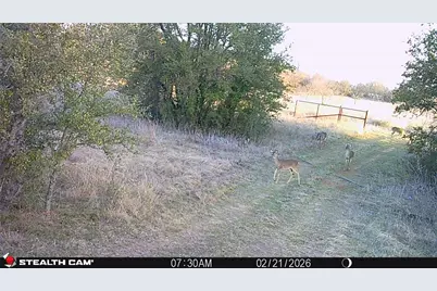 2387 County Road 321, Gorman, TX 76454 - Photo 30
