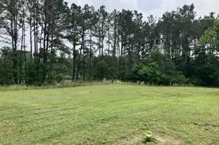 3000 Co Rd 1708, Jacksonville, TX 75766 - Photo 22