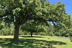3000 Co Rd 1708, Jacksonville, TX 75766 - Photo 20