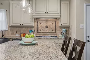 203 Saddle Ridge Ct, Springtown, TX 76082 - Photo 14