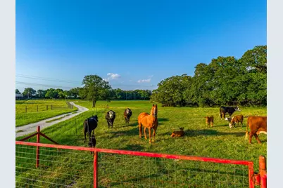 141 County Road 4793, Boyd, TX 76023 - Photo 2