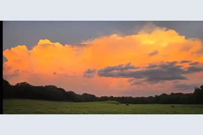 141 County Road 4793, Boyd, TX 76023 - Photo 26