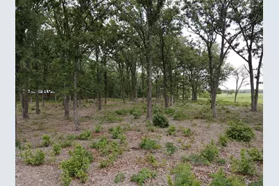 Tbd Fm 195, Paris, TX 75462 - Photo 6