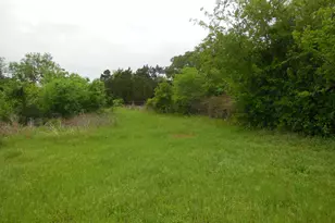 306 Co Rd 459, Ranger, TX 76470 - Photo 20