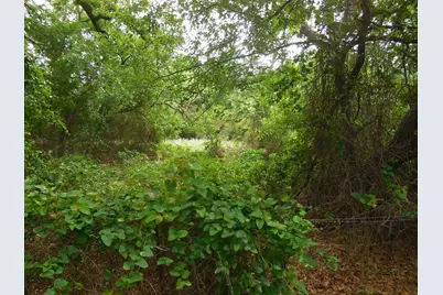 306 County Road 459, Ranger, TX 76470 - Photo 18