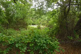 306 Co Rd 459, Ranger, TX 76470 - Photo 18