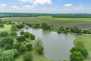 121 Daisey Ln, Justin, TX 76247 - Photo 32