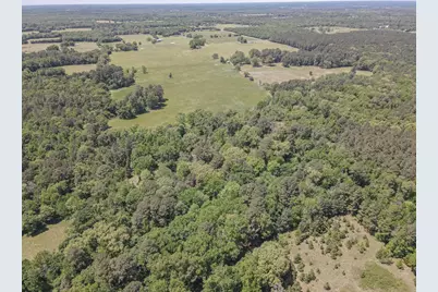 2852 Fm 312, Winnsboro, TX 75494 - Photo 6