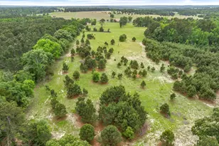 13608 N Sh-110, Tyler, TX 75704 - Photo 12