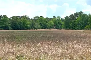 7601 Co Rd 3700, Murchison, TX 75778 - Photo 26