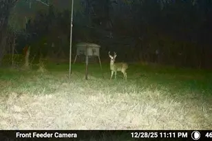7600 Co Rd 1500, Athens, TX 75751 - Photo 20