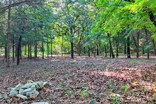 735 Sleepy Hollow Ln, Valley View, TX 76272 - Photo 30