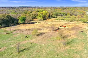 14771 Shearer Rd, Pilot Point, TX 76258 - Photo 12