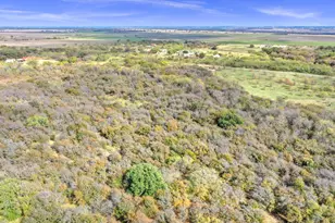 14771 Shearer Rd, Pilot Point, TX 76258 - Photo 10