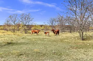 14771 Shearer Rd, Pilot Point, TX 76258 - Photo 34