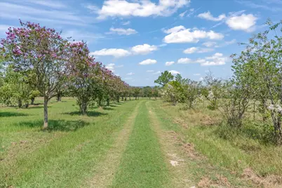 2503 Vz County Road 3804, Wills Point, TX 75169 - Photo 2