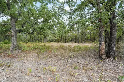 Lot 13 Double B Ranch Road S, Perrin, TX 76486 - Photo 6