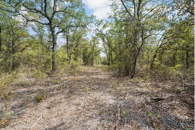 Lot 15 Double B Ranch Road S, Perrin, TX 76486 - Photo 8