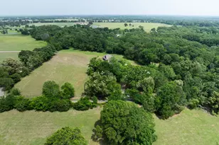 173 Rs County Road 2365, Alba, TX 75410 - Photo 28