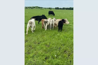 10.5 Acres Ohanlon Road, Whitesboro, TX 76273 - Photo 4
