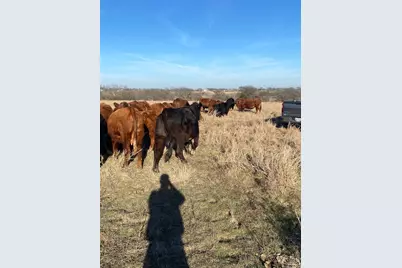 10.5 Acres Ohanlon Road, Whitesboro, TX 76273 - Photo 2