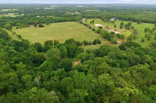 11222 Co Rd 1201, Malakoff, TX 75148 - Photo 24