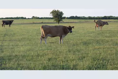Tbd Co Rd 4518, Wolfe City, TX 75496 - Photo 1