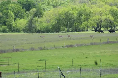 Tbd Co Rd 4518, Wolfe City, TX 75496 - Photo 8