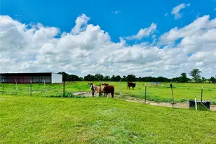 251 Co Rd 225, Rising Star, TX 76471 - Photo 34